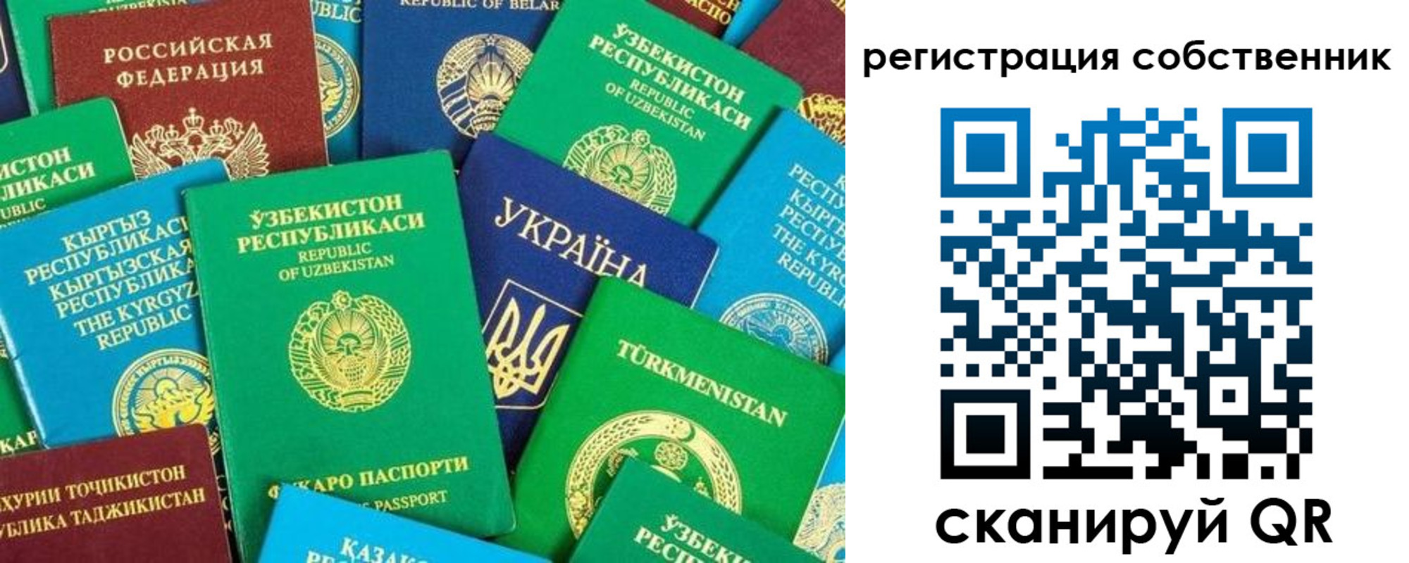 прописка в Гвардейске